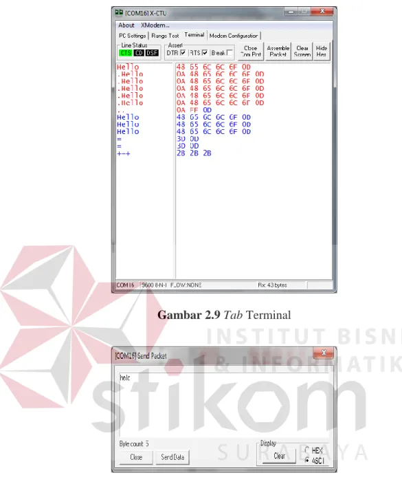 Gambar 2.9 Tab Terminal 