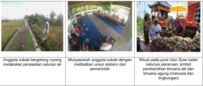Gambar 5. Kegiatan di Subak Sembung sebagai implementasi filosofi tri hita karana  Sumber: Ngurah Gede, 2015 