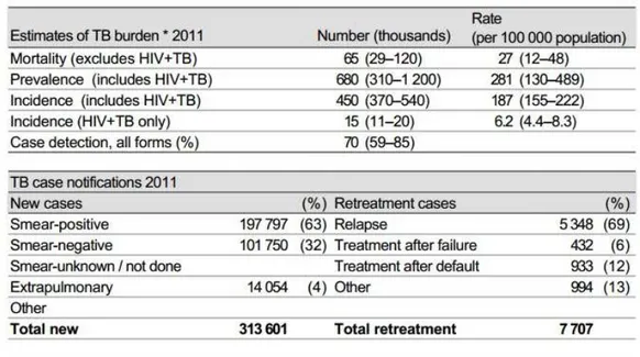Gambar 2.3 Populasi TB PARU Paru tahun 2011  (Sumber: www.who.int/tb/contry/data/profiles, 2013)  2.7