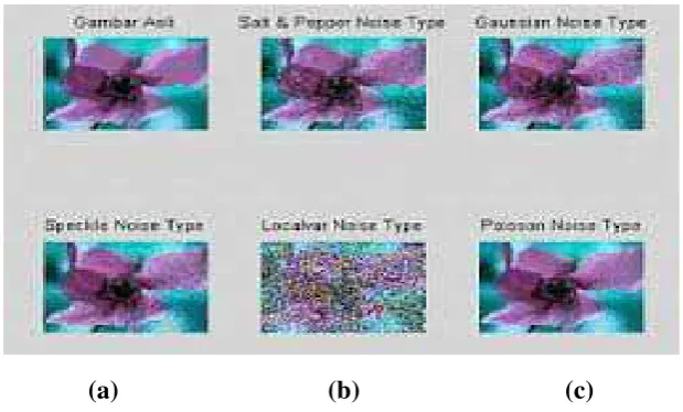 Gambar 2.4 Jenis-jenis Noise: (a) Gaussian, (b) Salt  (c) Pepper  