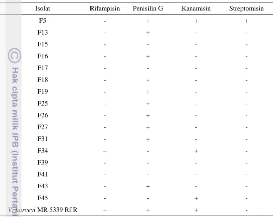 Tabel 3. Hasil uji sensitivitas antibiotik pada konsentrasi 50 µg/ml 