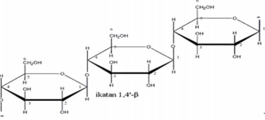 Gambar II.2. Struktur Selulosa 2.Hemiselulosa