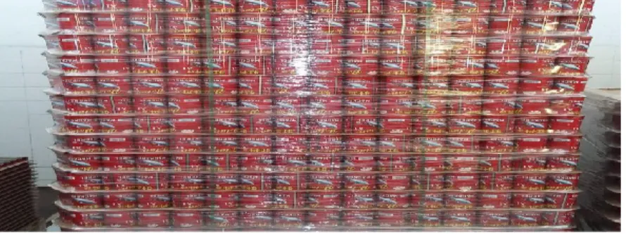 Gambar 2.1 Ikan Kaleng 