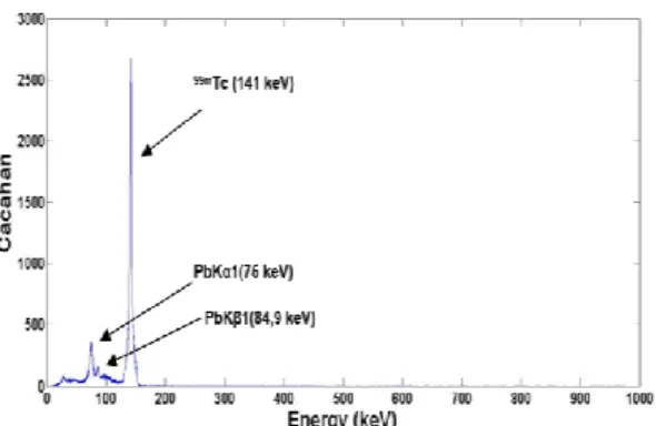 Gambar  6.  Hasil  pengukuran  spektrometer  gamma  dari  cuplikan  larutan  Na 99m TcO 4 