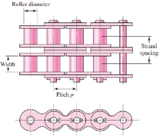 Gambar 2. 5 Porsi Untai Ganda Roller Chain 