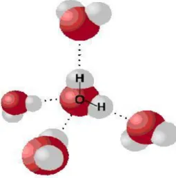 Gambar 14. Molekul air 