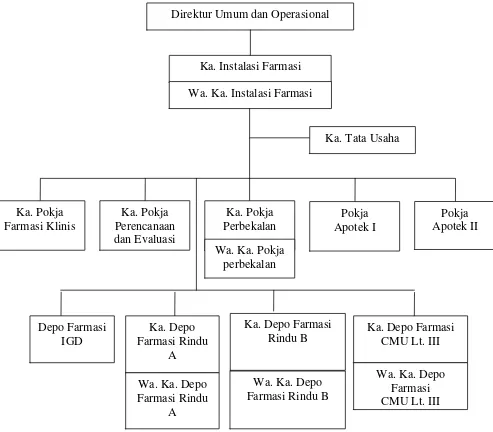 Gambar 3.1. Struktur organisasi instalasi farmasi RSUP H. Adam Malik 