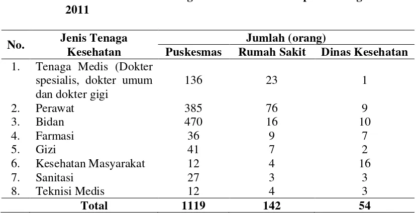 Tabel 4.1.  Jenis dan Jumlah Tenaga Kesehatan di Kabupaten Langkat Tahun 