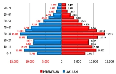 Gambar 3. Grafik Piramida Penduduk Kota Tanjungpinang Tahun 2011