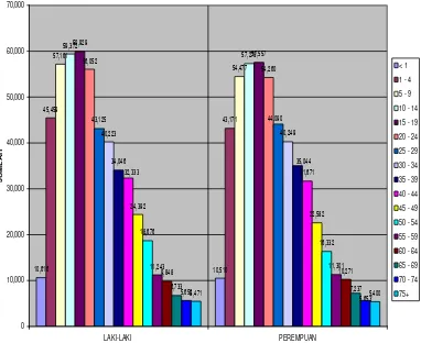 Grafik 4.1 Komposisi Penduduk menurut Kelompok Umur dan Jenis Kelamin 