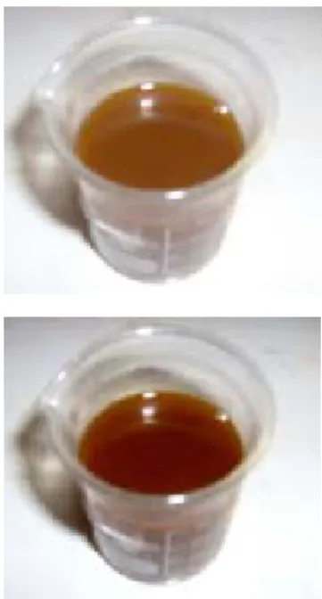 Gambar 1. Indikator Cair dari Serbuk Gergajian Kayu Nangka yang direndam dalam pelarut alkohol (atas) dan aseton