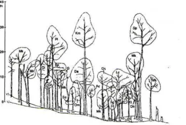 Fig. 9. Profile diagram of LD-plot (presented by A3 to F3 rows)