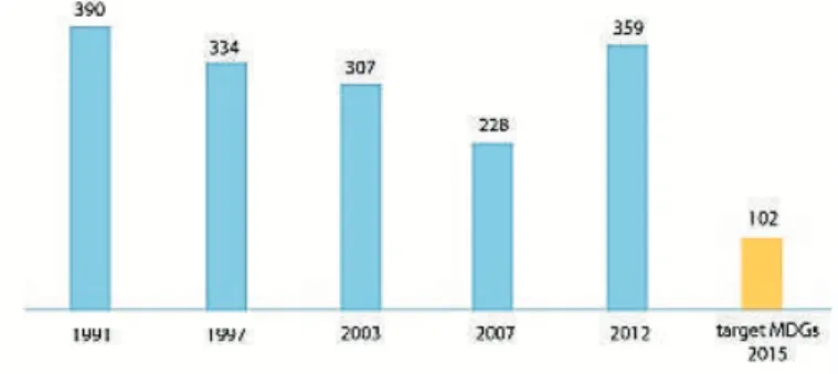 Gambar 3. Data Angka Kematian Ibu