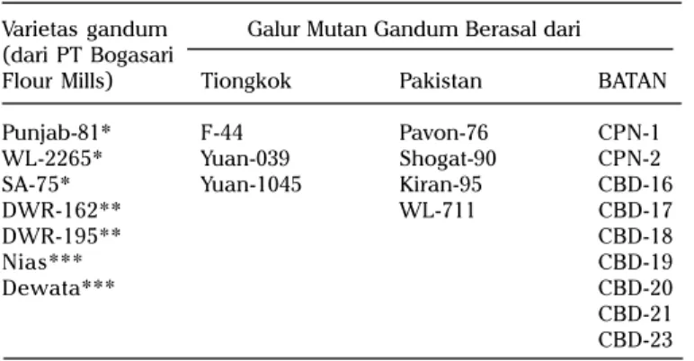 Tabel 2. Materi pemuliaan gandum di PATIR-BATAN.
