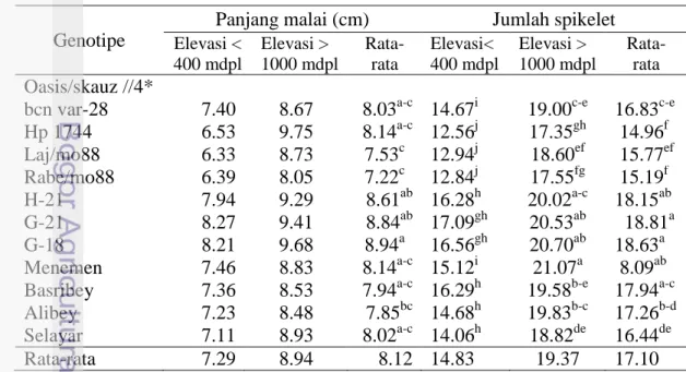 Tabel 29.   Panjang malai  dan jumlah spikelet genotipe gandum introduksi pada  agroekosistem  tropis MH 2010 dan MK 2011 
