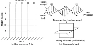 Gambar 1  Komponen dan Bidang Polarisasi                               Gelombang Elektromagnetik 