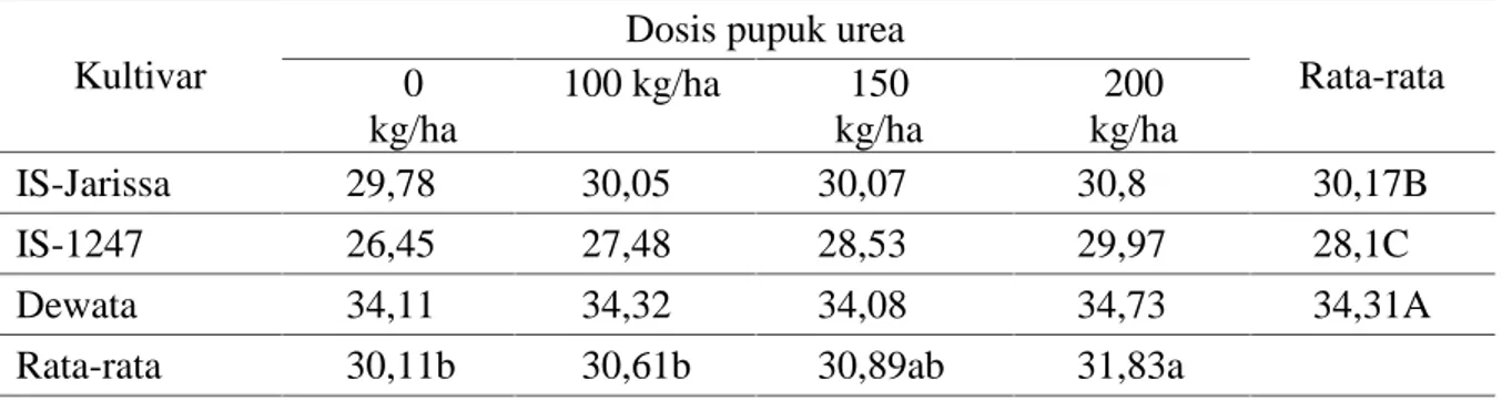 Tabel 4. Bobot 1000 butir beberapa kultivar gandum dengan pemberian beberapa dosis urea Kultivar