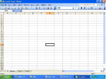 Gambar 5.2 Tampilan Lembar Kerja Excel 