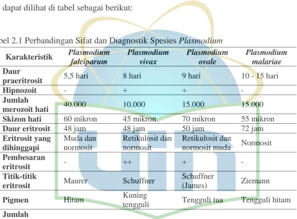 Tabel 2.1 Perbandingan Sifat dan Diagnostik Spesies Plasmodium  Karakteristik  Plasmodium  falciparum  Plasmodium vivax  Plasmodium ovale  Plasmodium malariae  Daur 