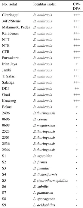 Tabel 1. Hasil pemeriksaan Immunofluoresens  No. isolat  Identitas isolat  CW- 