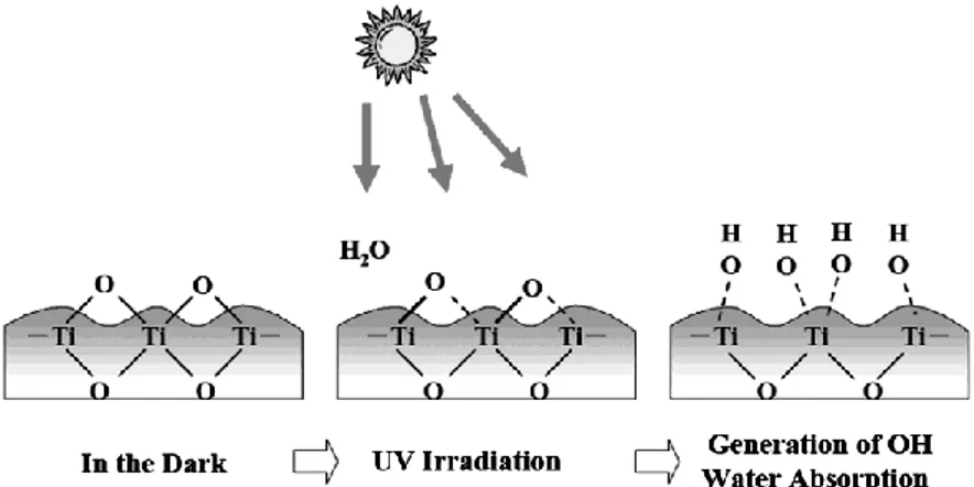 Gambar 7. Ilustrasi permukaan fotokatalis titanium(IV) oksida pada kondisi sebelum dan  saat diiradiasi (Khataee &amp; Kasiri, 2010)
