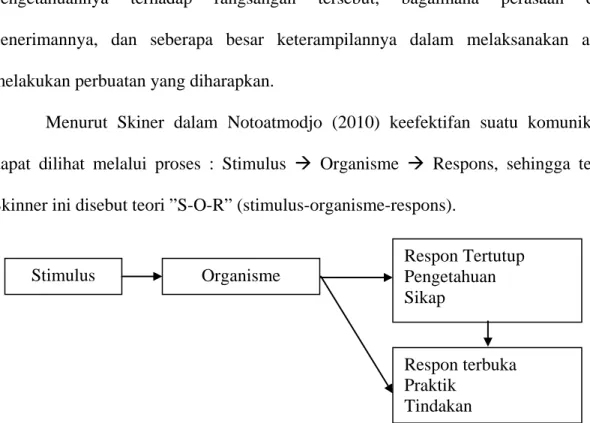 Gambar 2.1. Teori S-O-R 