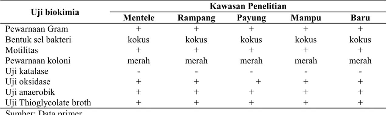 Tabel 2. Uji biokimia bakteri F. Streptococcus di perairan pantai Selat Rupat. 