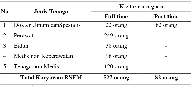 Tabel 5.1. Distribusi Ketenagaan RSEM Tahun 2013 