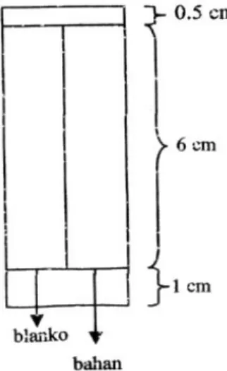 Gambar 1. Plate kromatografi lapisan tipis 