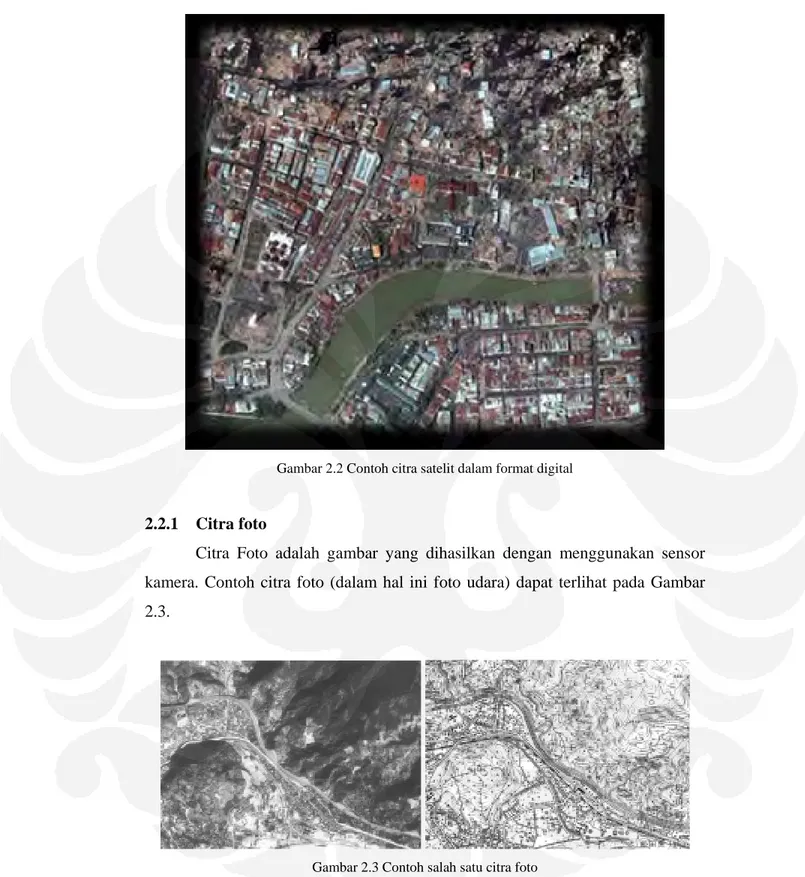 Gambar 2.2 Contoh citra satelit dalam format digital 