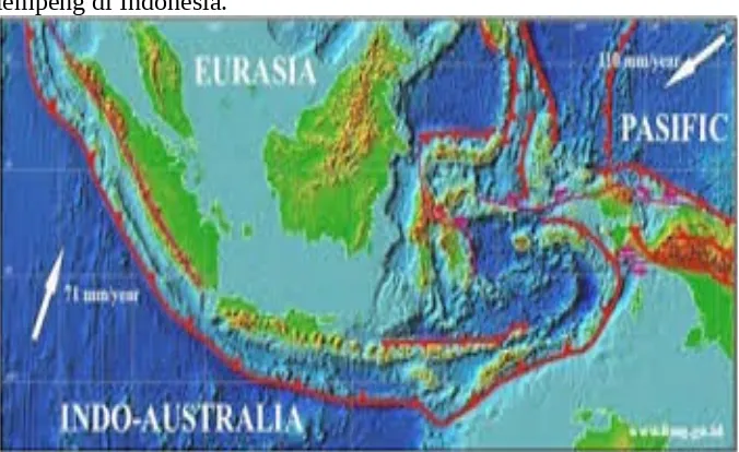 Gambar 2.2. Berbagai jenis tumbuhan buah yang tumbuh di Indonesia