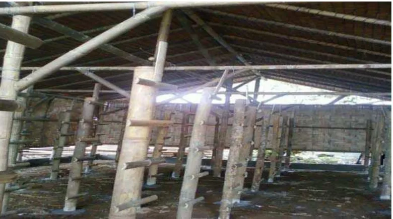 Gambar 2. Bangunan Kumbung dan Model Rak-Rak untuk Jamur Tiram 