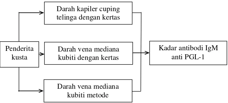 Gambar 2. Diagram kerangka konsep penelitian 