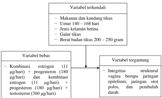 Gambar 4.2 Hubungan antar variabel 