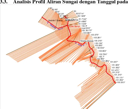 Gambar 10. Cross Section pada S. Negara Station 103 dengan tanggul         di kedua sisi sungai 