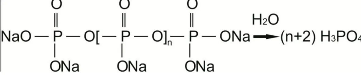 Gambar 3. Reaksi hidrolisis polifosfat  (Al-Deffeeri, 2006) 
