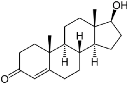 Gambar 2.5 Struktur testosteron (Sherwood, 2007)  2.3.2 Testosteron Pada Sirkulasi 