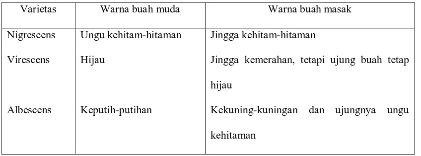 Tabel 2.2 Varietas Berdasarkan Warna Kulit Buah 
