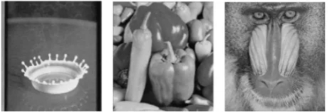 Figure 1. Original images used in experiments: Milkdrop (left), Pepper (middle), and Baboon (right) 
