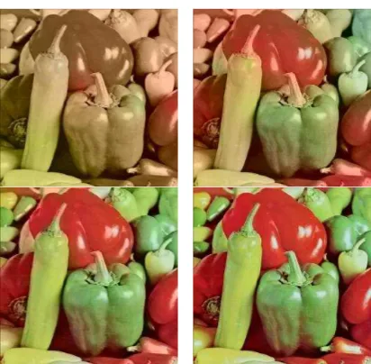 Figure 10. Colored image with 0.01% (up-left), 0.1% (up-right), 1% (bottom-left) and 10% (bottom-right) initial correct pixels, using affinity function #1 
