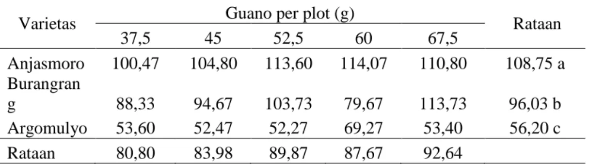 Tabel  3.  Jumlah  polong  per  sampel  (polong)  pada  perlakuan  varietas  dan  dosis  pupuk guano 
