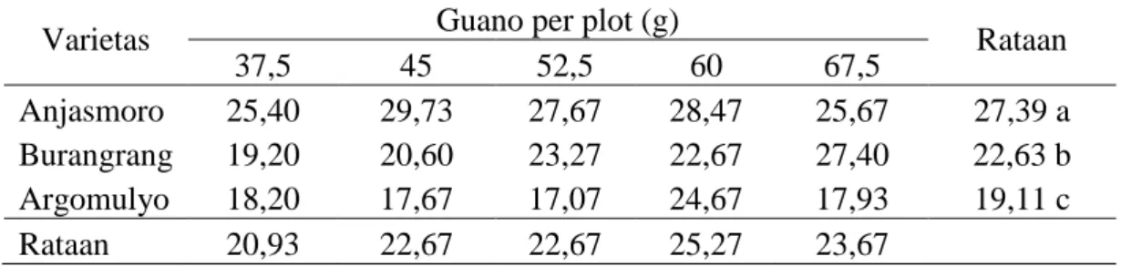 Tabel  6.  Bobot  kering  biji  per  sampel  (g)  pada  perlakuan  varietas  dan  pupuk  guano 