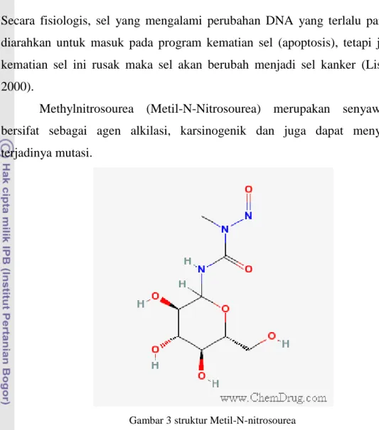 Gambar 3 struktur Metil-N-nitrosourea 