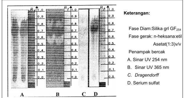 Gambar 3. Kromatogram fraksi etil asetat kayu sanrego menggunakan penampak bercak sinar UV         254 nm, 365 nm, Dragendorff, dan serium sulfat 
