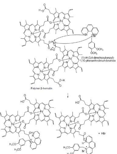 Fig 2. The mechanism of inhibition (1)-N-(3,4-dimethoxybenzyl)-1,10-phenanthrolinium bromide against β-hematin polymer