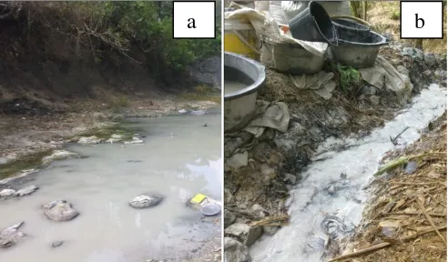 Gambar 8. (a) Pelumpuran dari proses penggilingan bijih yang telah terendapkan di dasar sungai; (b) Pelumpuran dari hasil pencucian batuan, terbawa oleh aliran air 