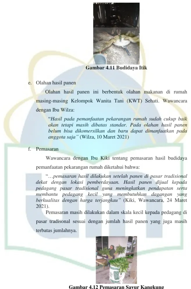 Gambar 4.11 Budidaya Itik 