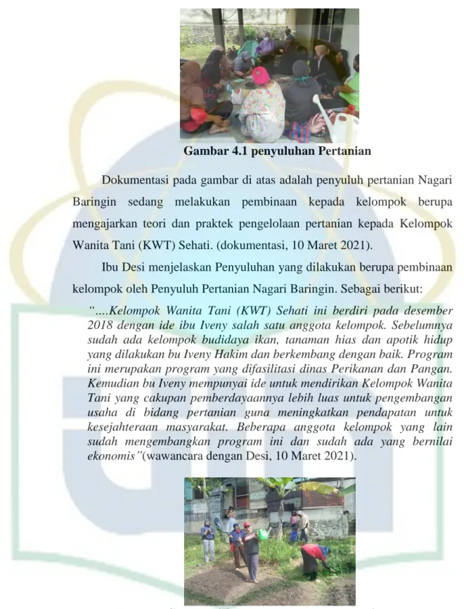 Gambar 4.1 penyuluhan Pertanian 