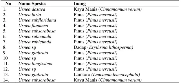 Tabel  3.  Data  Pengamatan  Jumlah  Individu  Lichen  Corticolous  di  Kawasan  Hutan  Sekipan Desa Kalisoro Tawangmangu Karanganyar Provinsi Jawa Tengah 