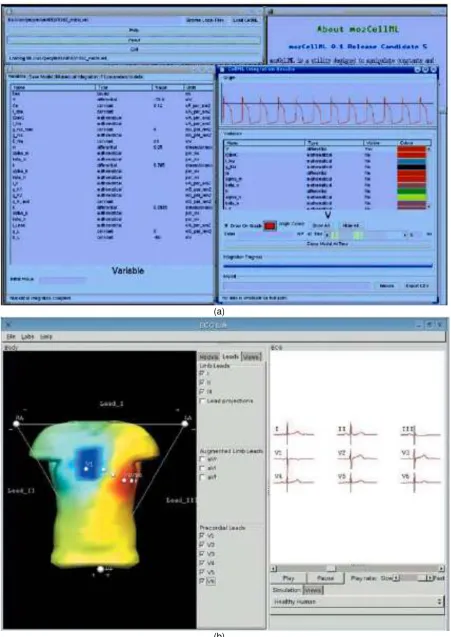 Gambar 3 : Program analisis dan antar muka berbasis komputer (Hunter, Nielsen; 2005) (b)        a